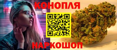 стафф Будённовск
