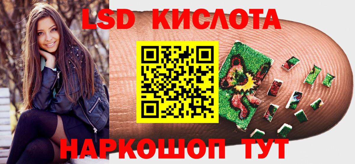 A PVP Красноярск